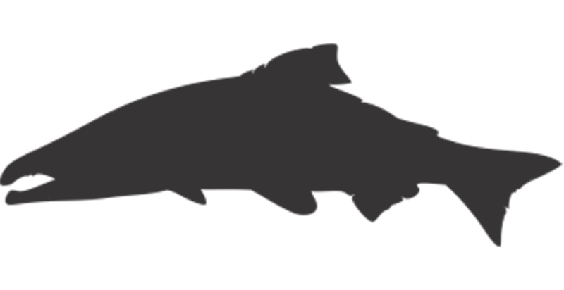 Pacific Headwear Premium Stock Layout & Icons