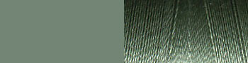 Palm Leaf