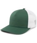 Dark Green/White/Gold