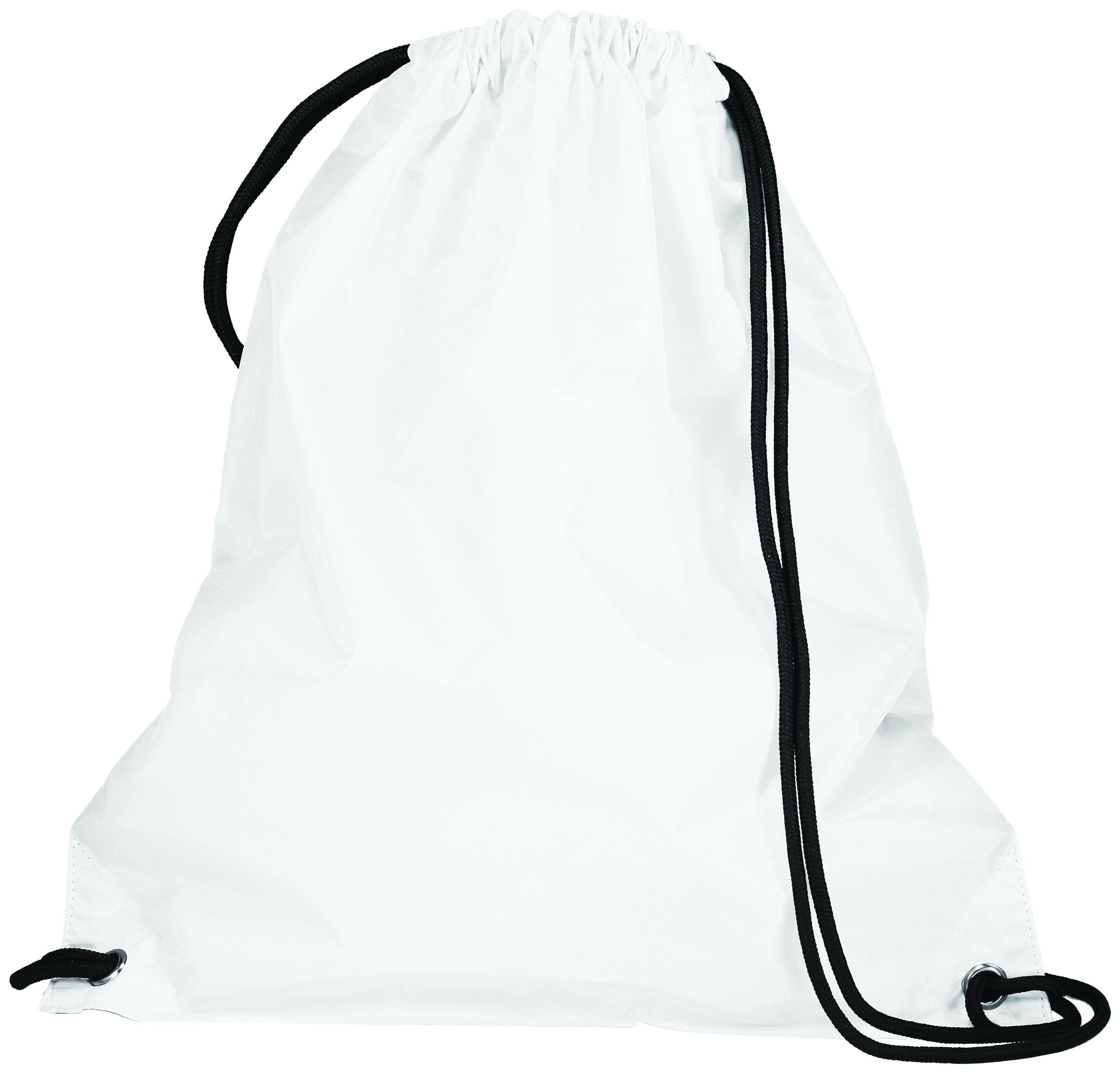 10 1905 — Cinch Bag