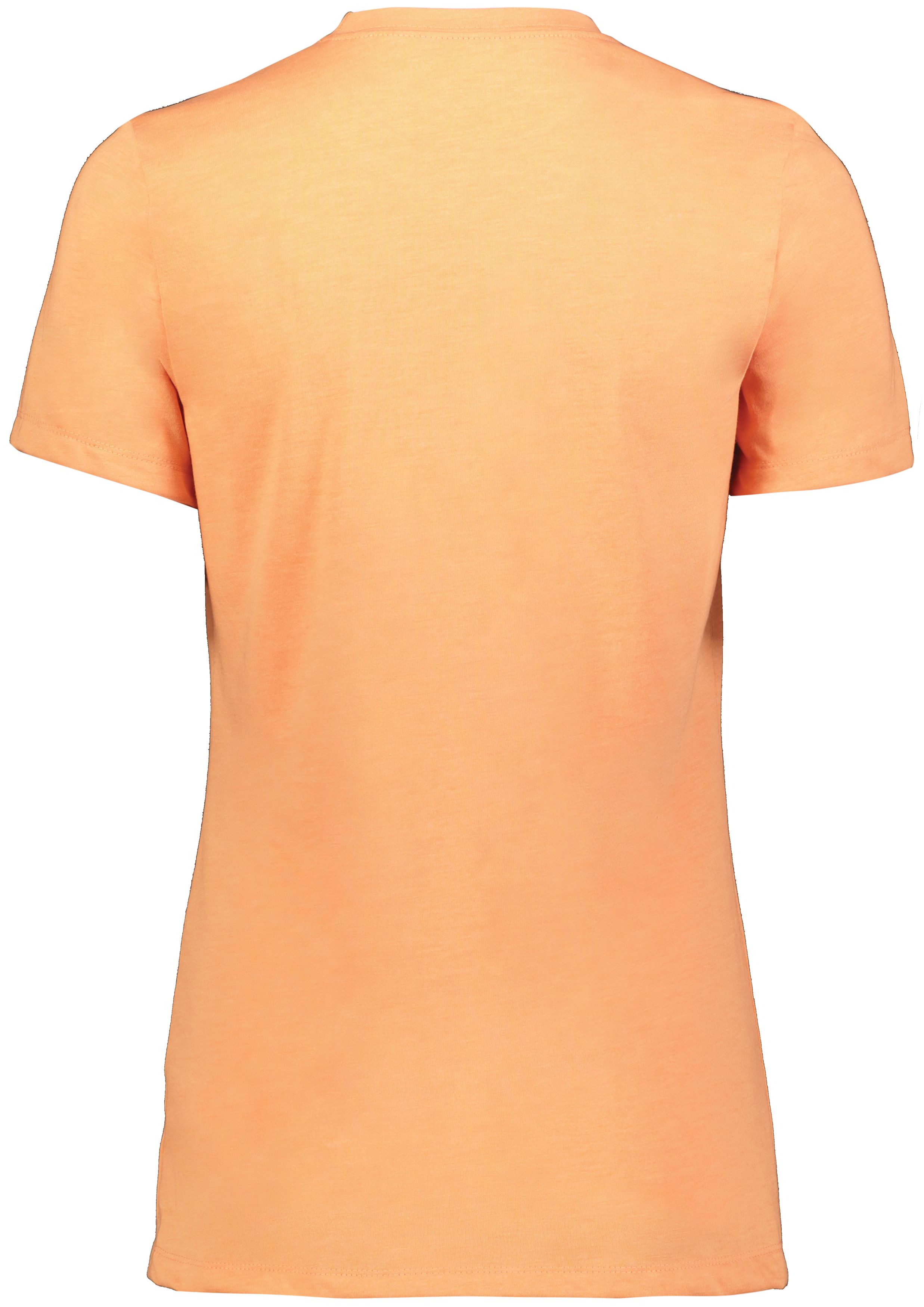 Ladies Eco-Revive Tri-Blend Tee