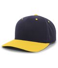 Navy/Gold