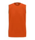 Burnt Orange (ba)