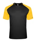 Black/Gold (ba)