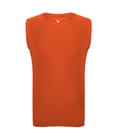 Burnt Orange (ba)