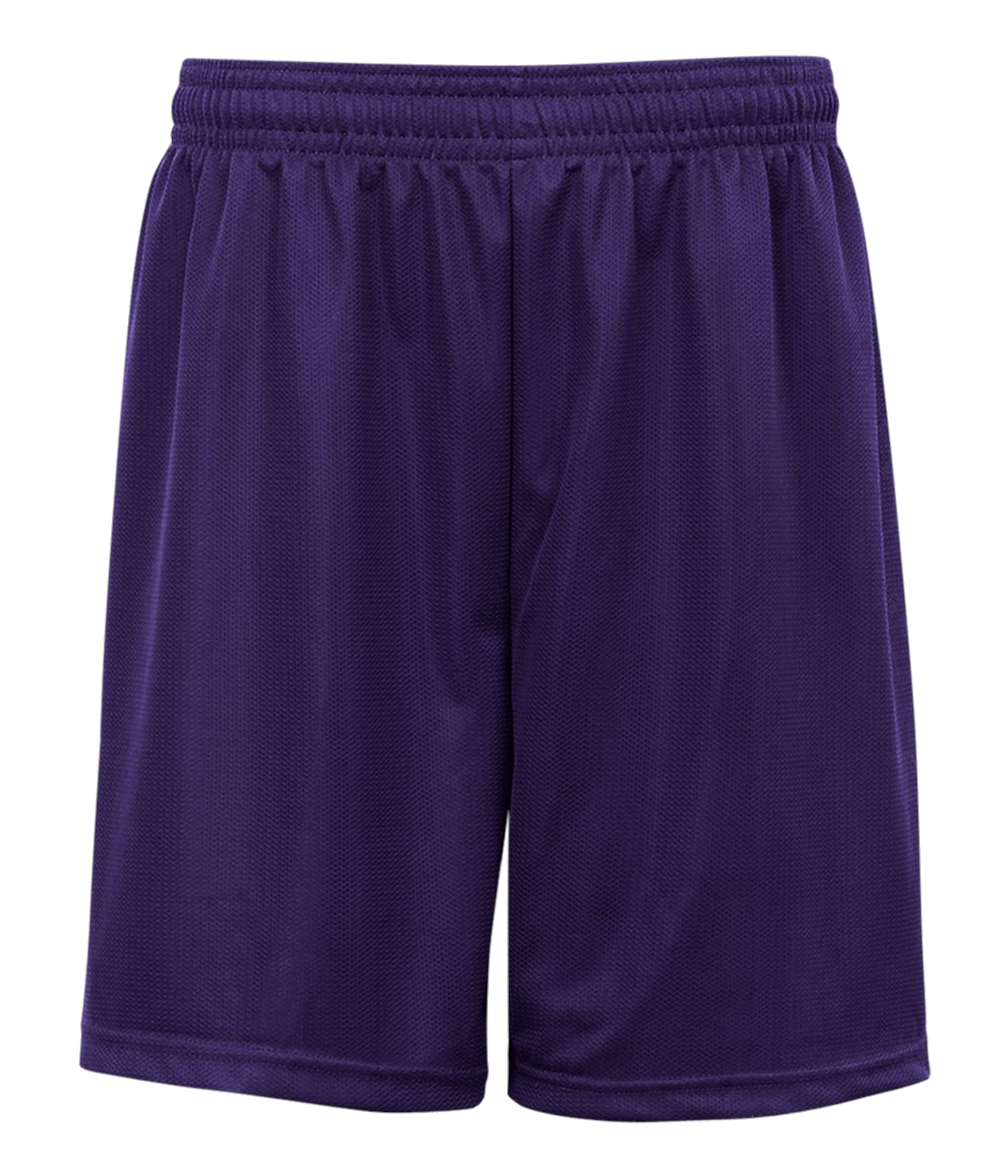 Badger Sport Men’s Mini Mesh Short