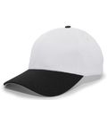 Silver/Black
