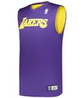 Nba La Lakers Purple/Gold