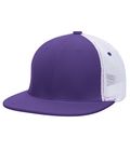 Purple/White/Purple