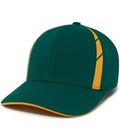 Dark Green/Gold