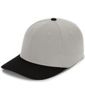 Silver/Black