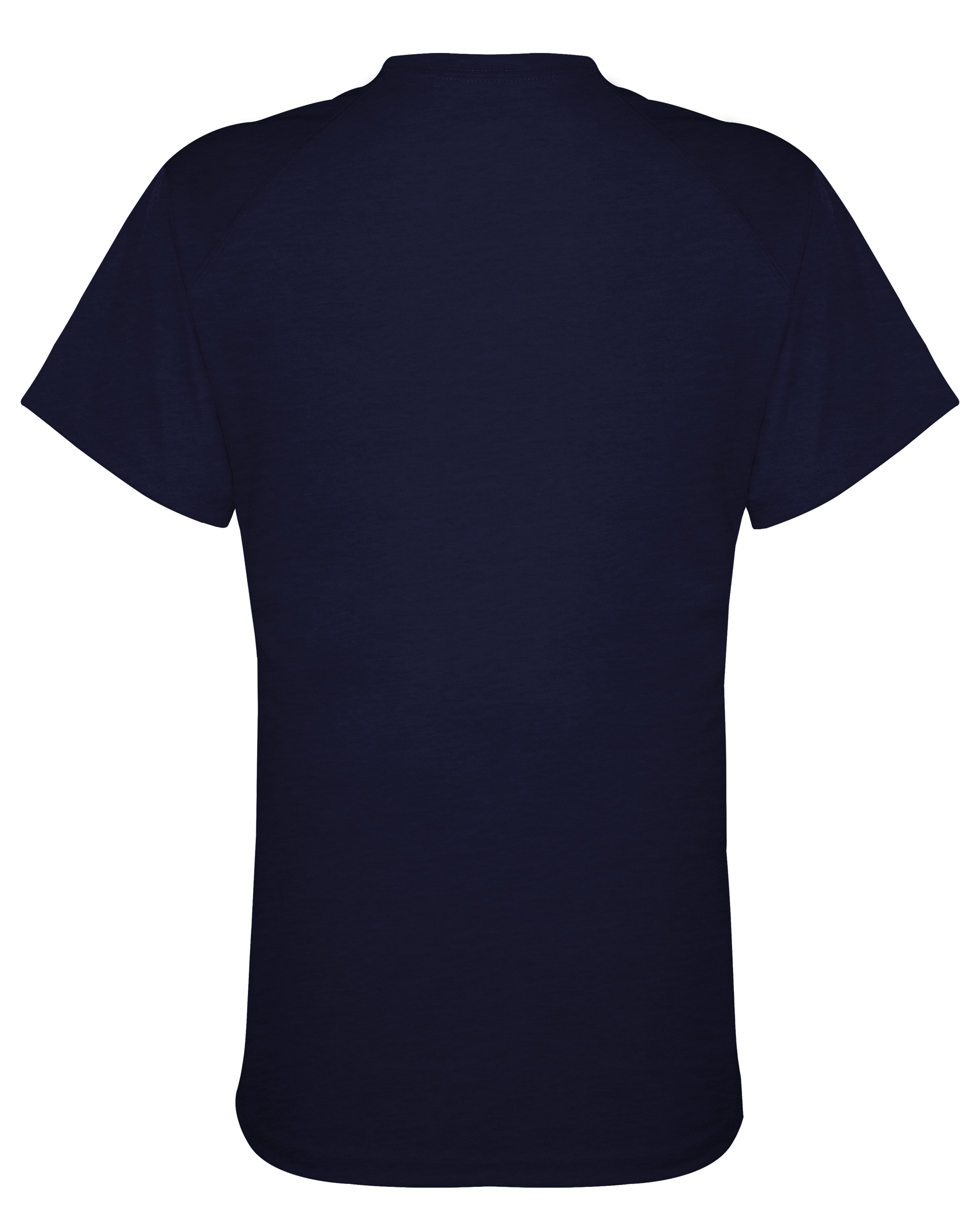 LADIES FIT FLEX TEE back