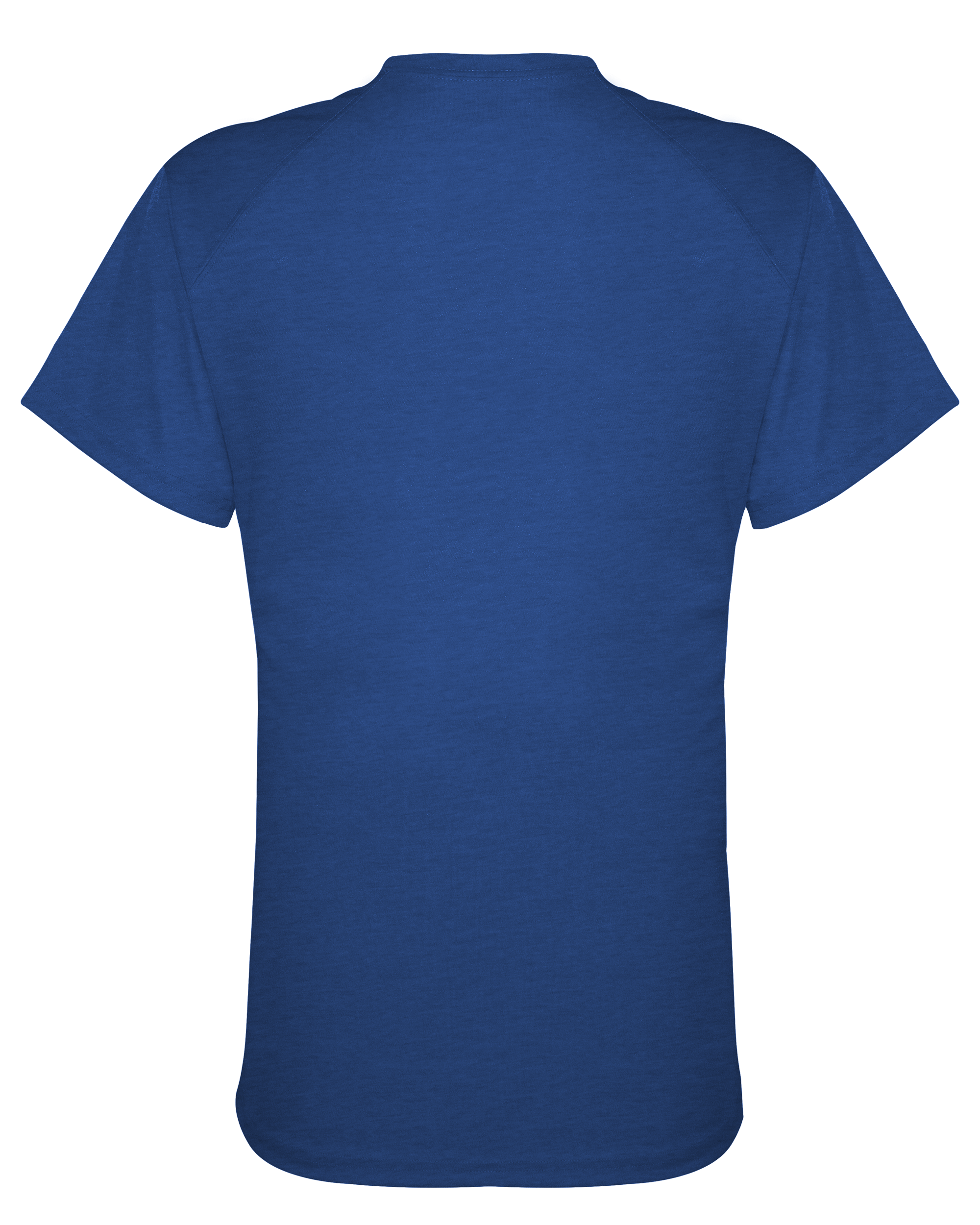LADIES FIT FLEX TEE back