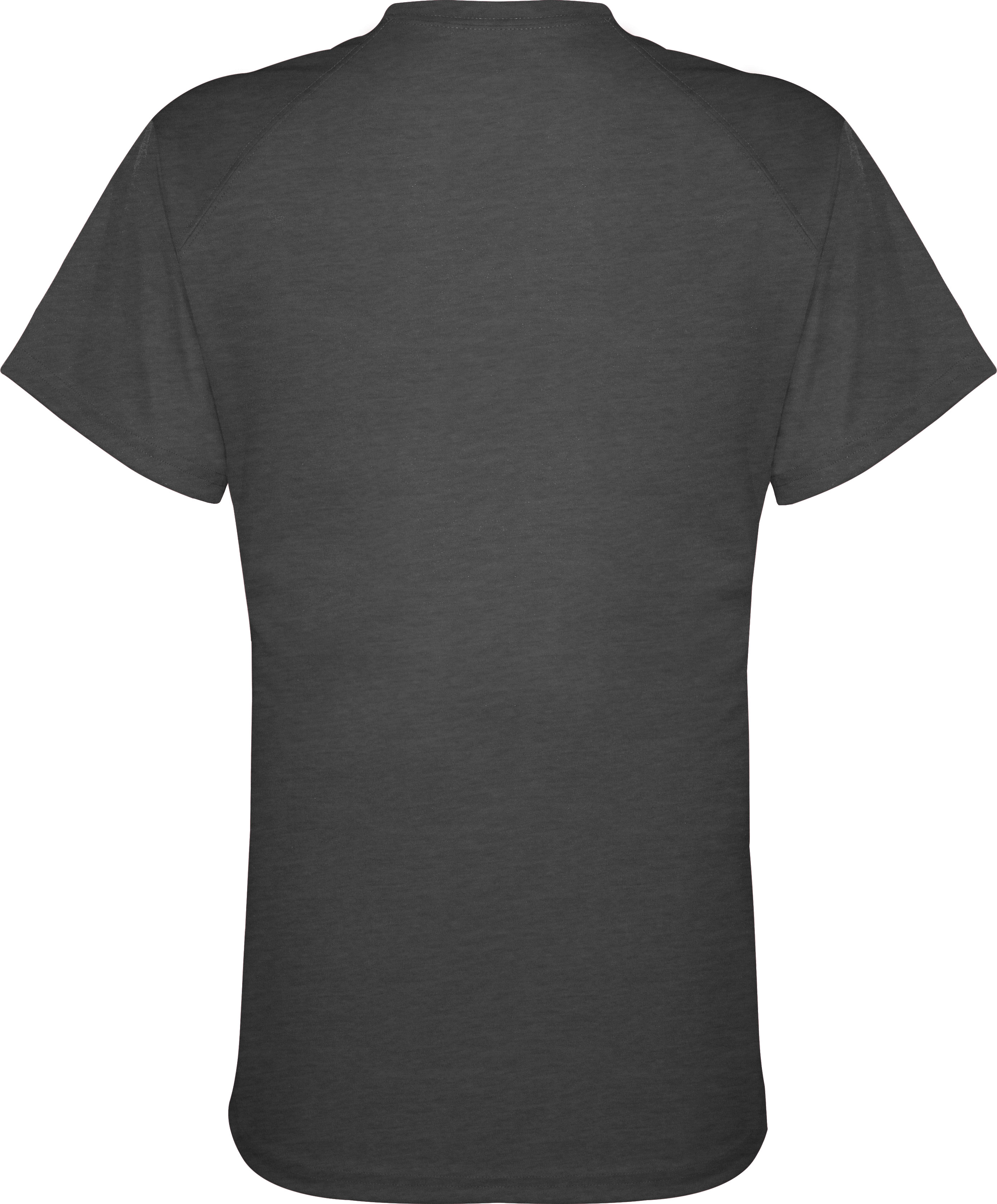 LADIES FIT FLEX TEE back