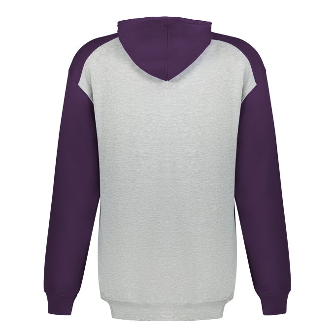 YOUTH ATHLETIC FLEECE SPORT HOODIE back