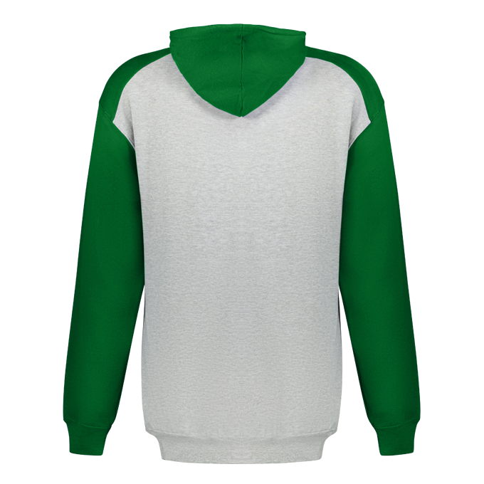 YOUTH ATHLETIC FLEECE SPORT HOODIE back