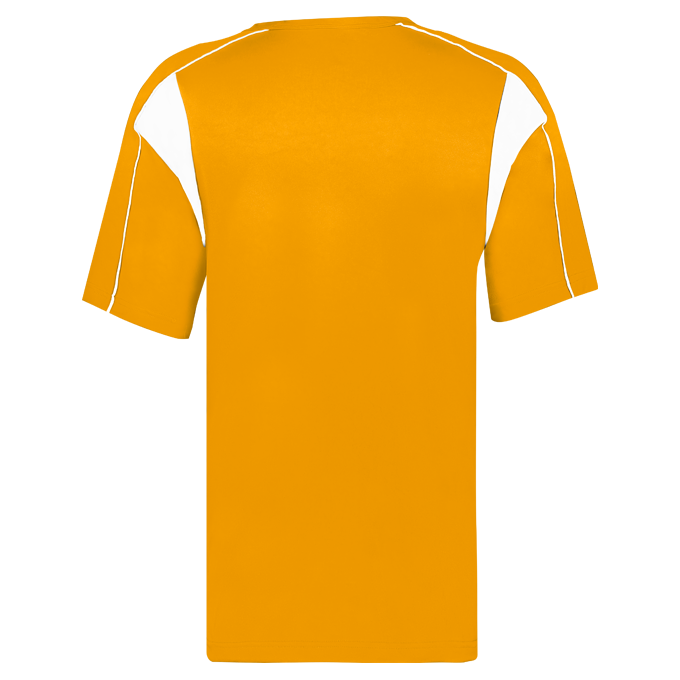 YOUTH PRO PLACKET BASEBALL JERSEY back