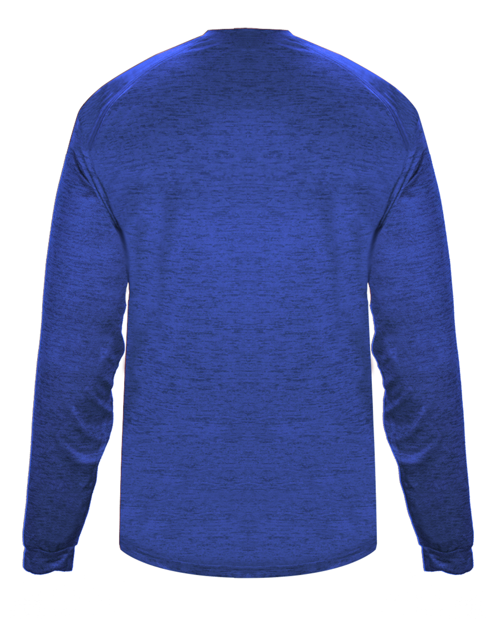 TONAL BLEND LONG SLEEVE TEE back