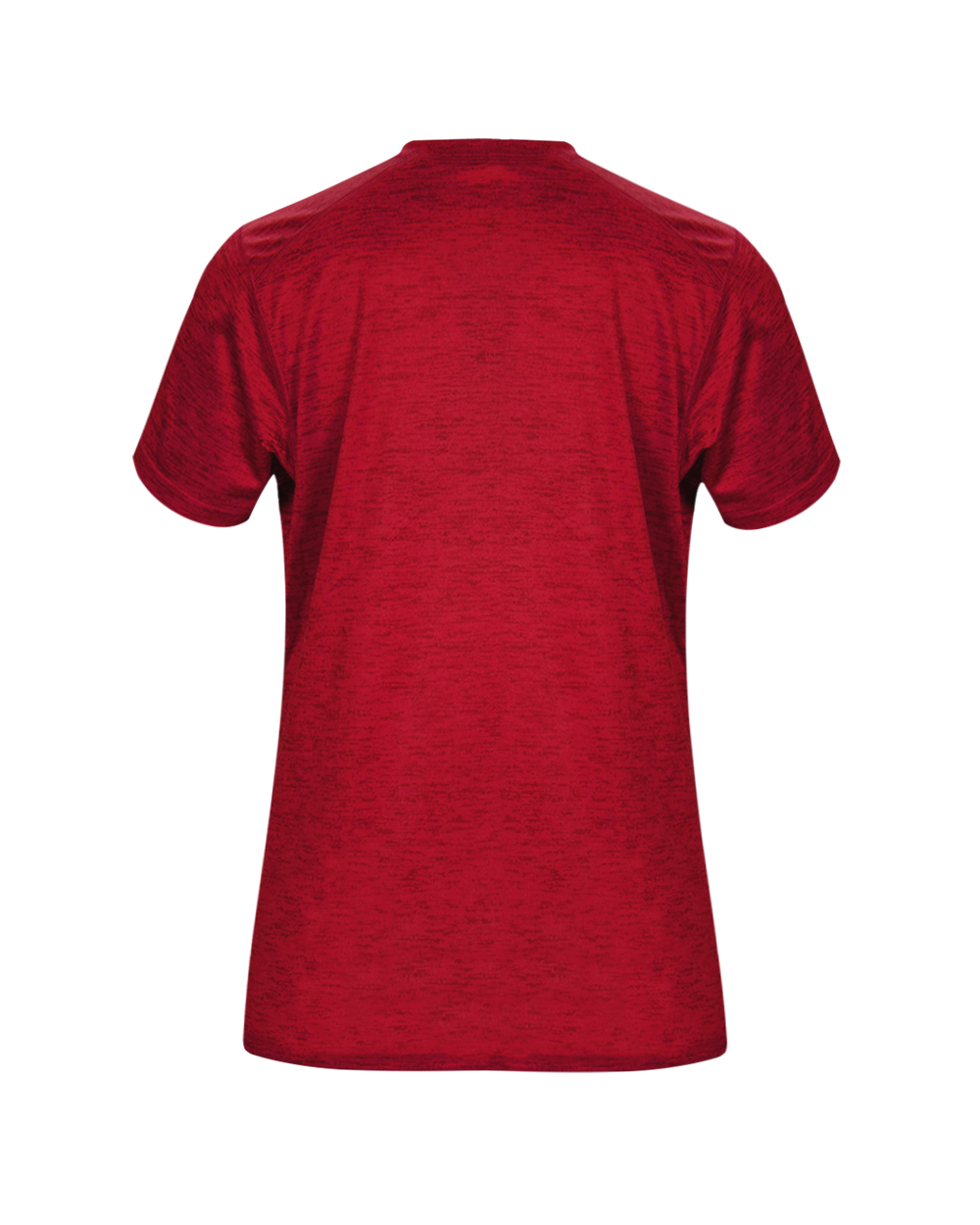 TONAL BLEND LADIES' V-NECK TEE back
