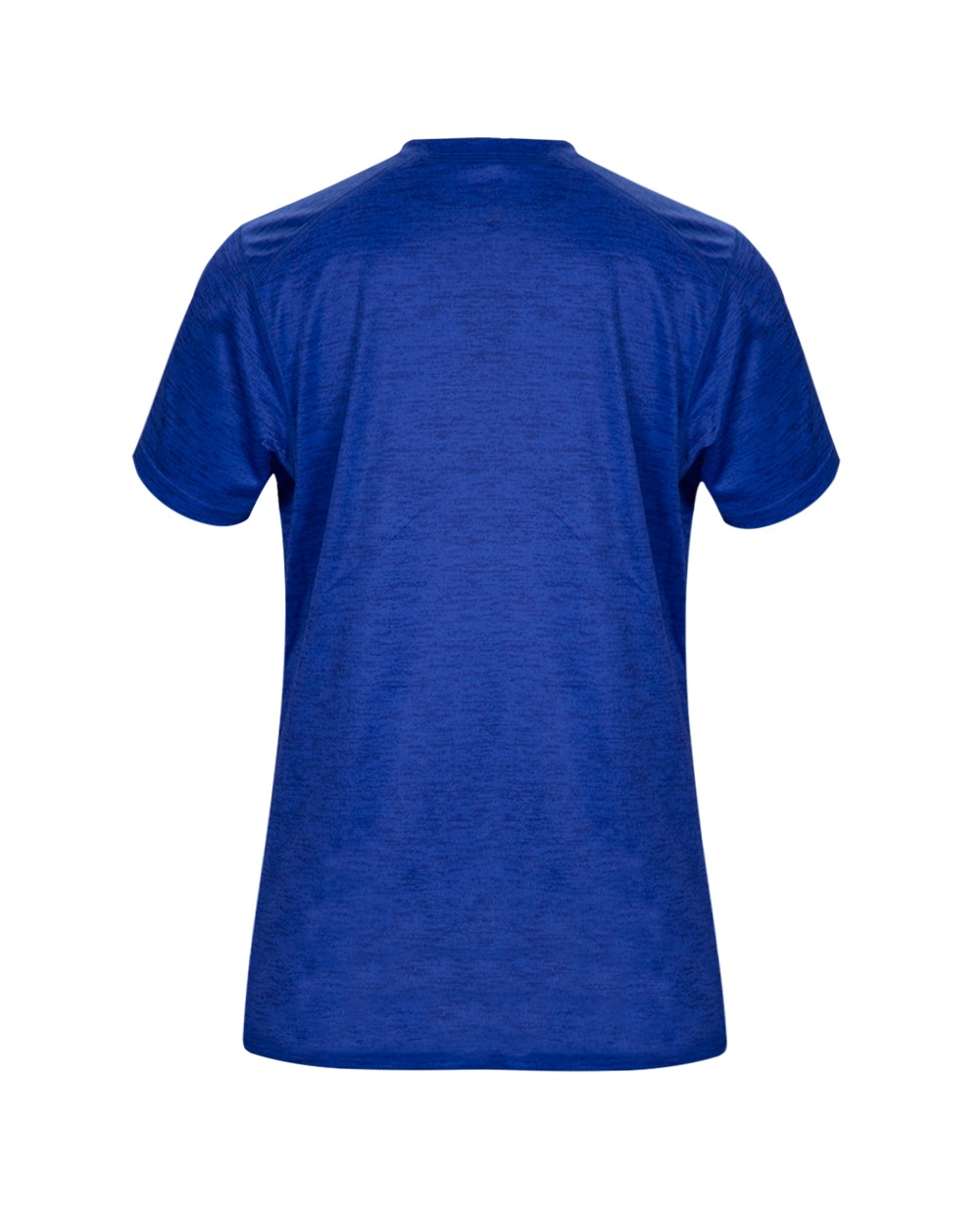 TONAL BLEND LADIES' V-NECK TEE back