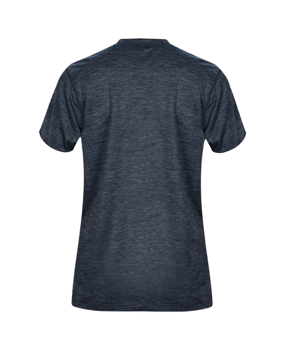 TONAL BLEND LADIES' V-NECK TEE back