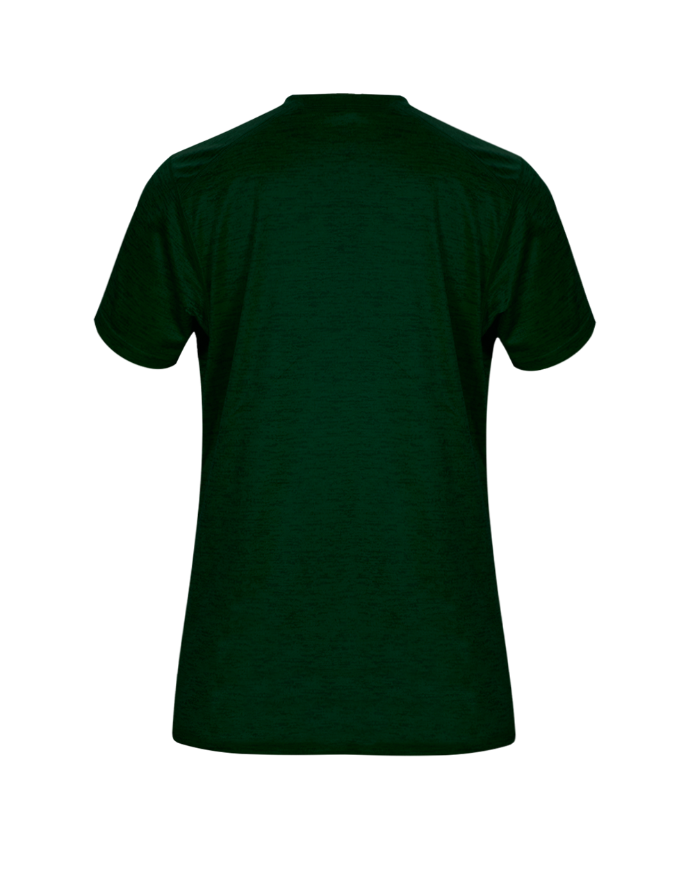 TONAL BLEND LADIES' V-NECK TEE back