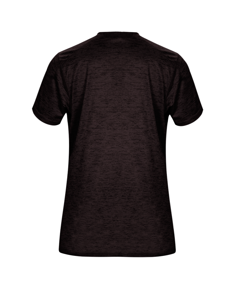 TONAL BLEND LADIES' V-NECK TEE back