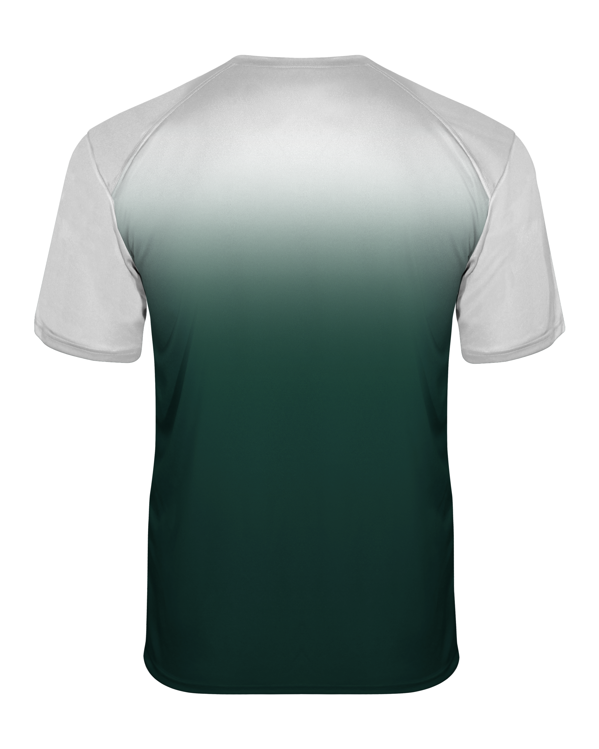 OMBRE TEE back