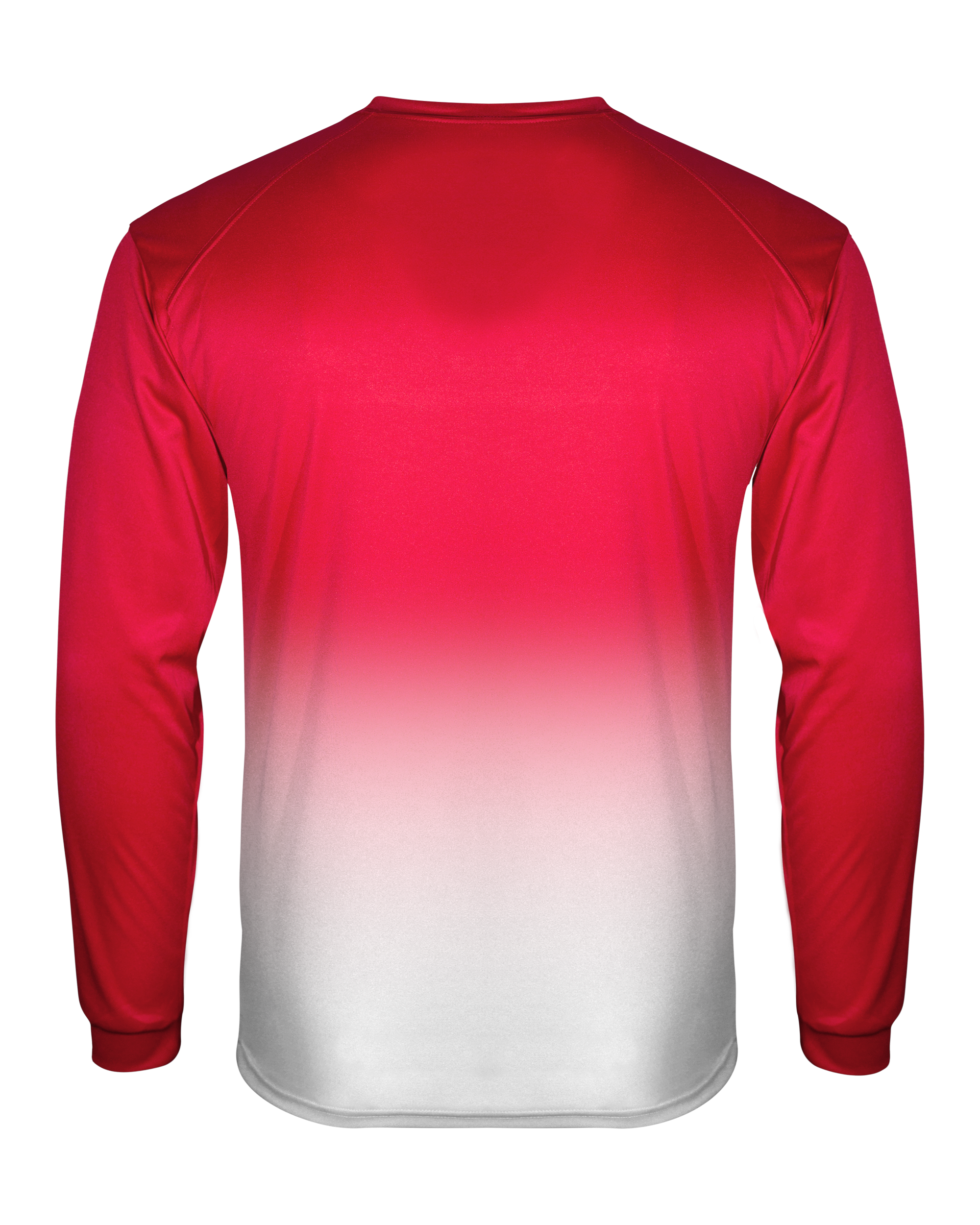 OMBRE LONG SLEEVE TEE back