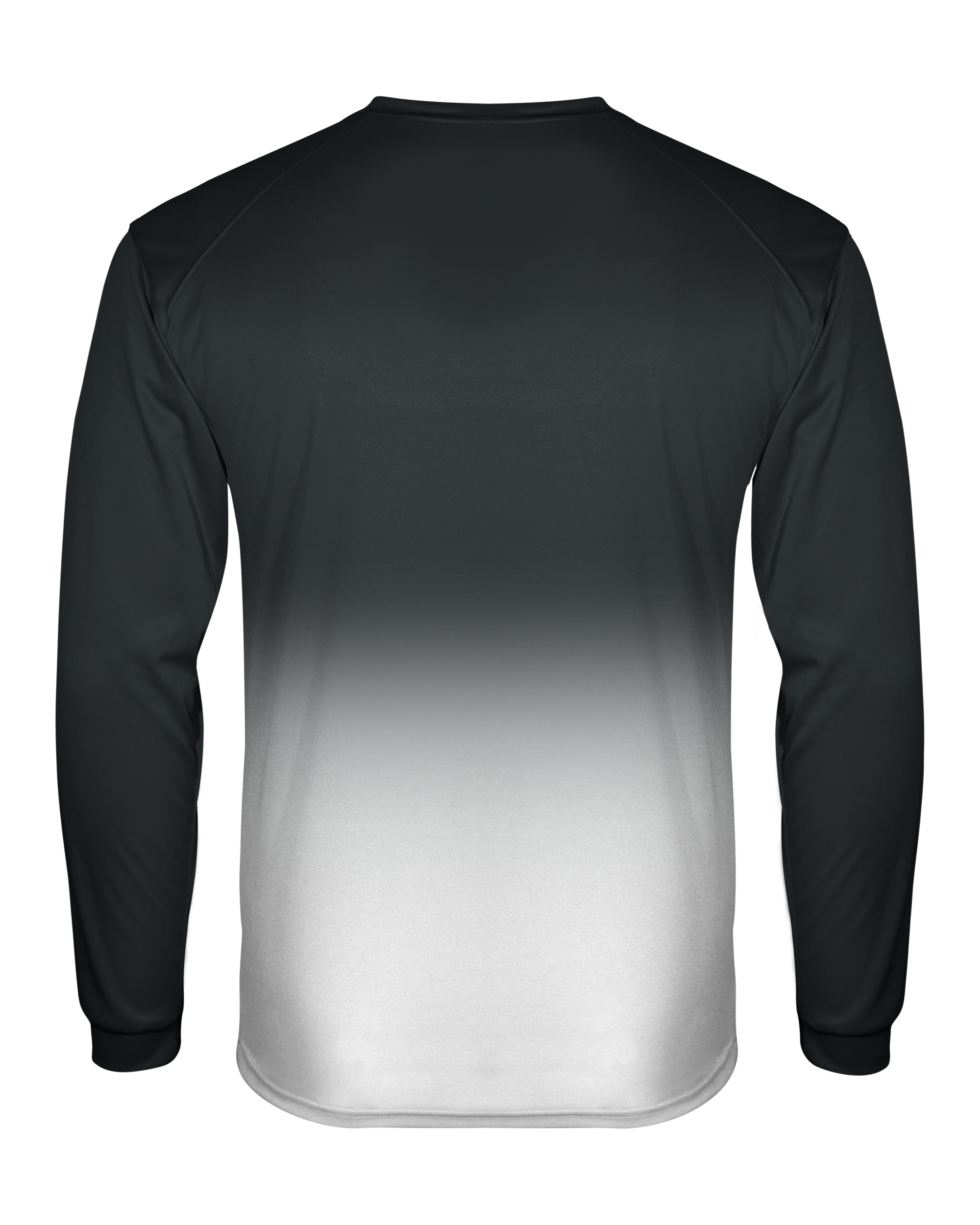 OMBRE LONG SLEEVE TEE back