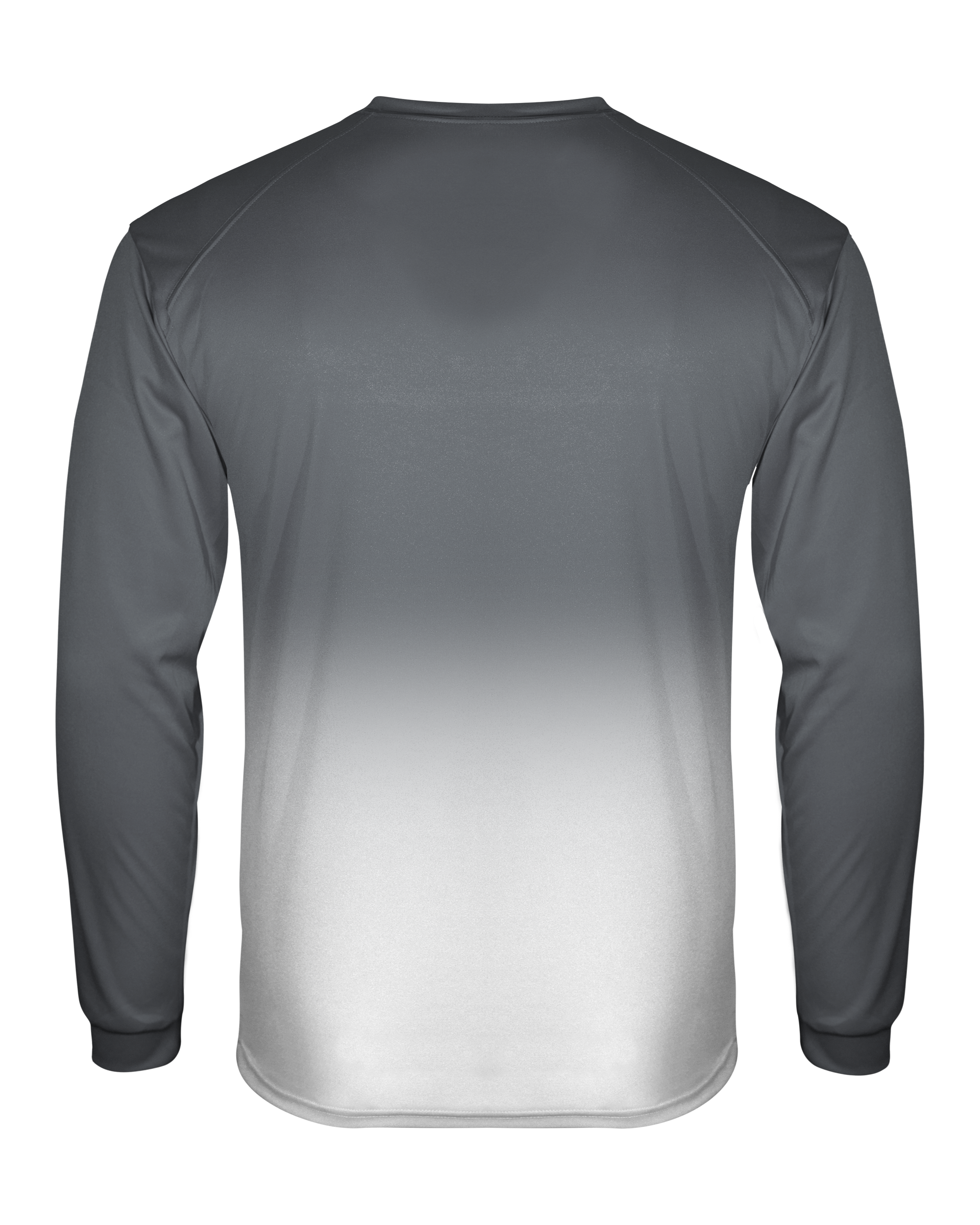 OMBRE LONG SLEEVE TEE back