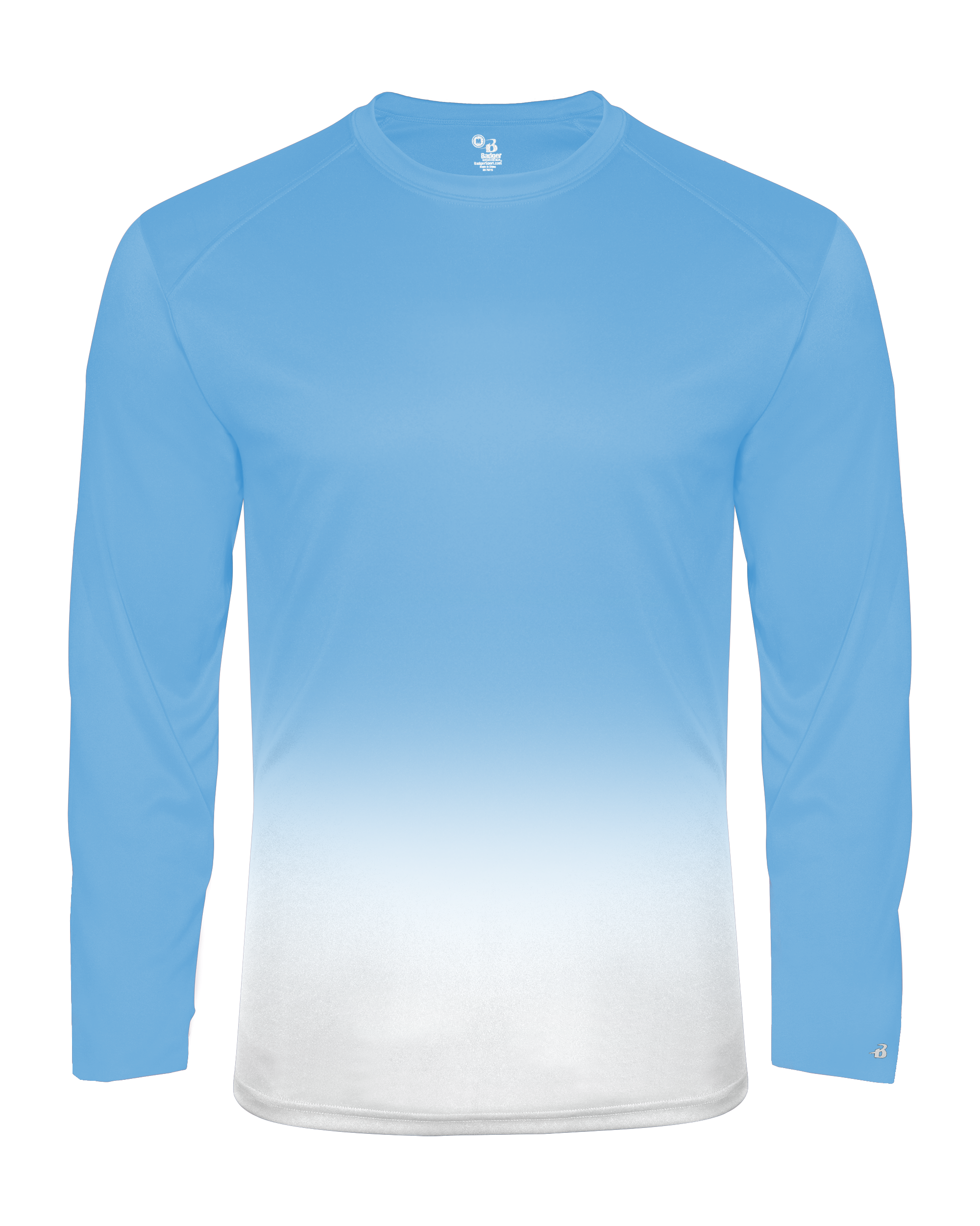 OMBRE LONG SLEEVE TEE back