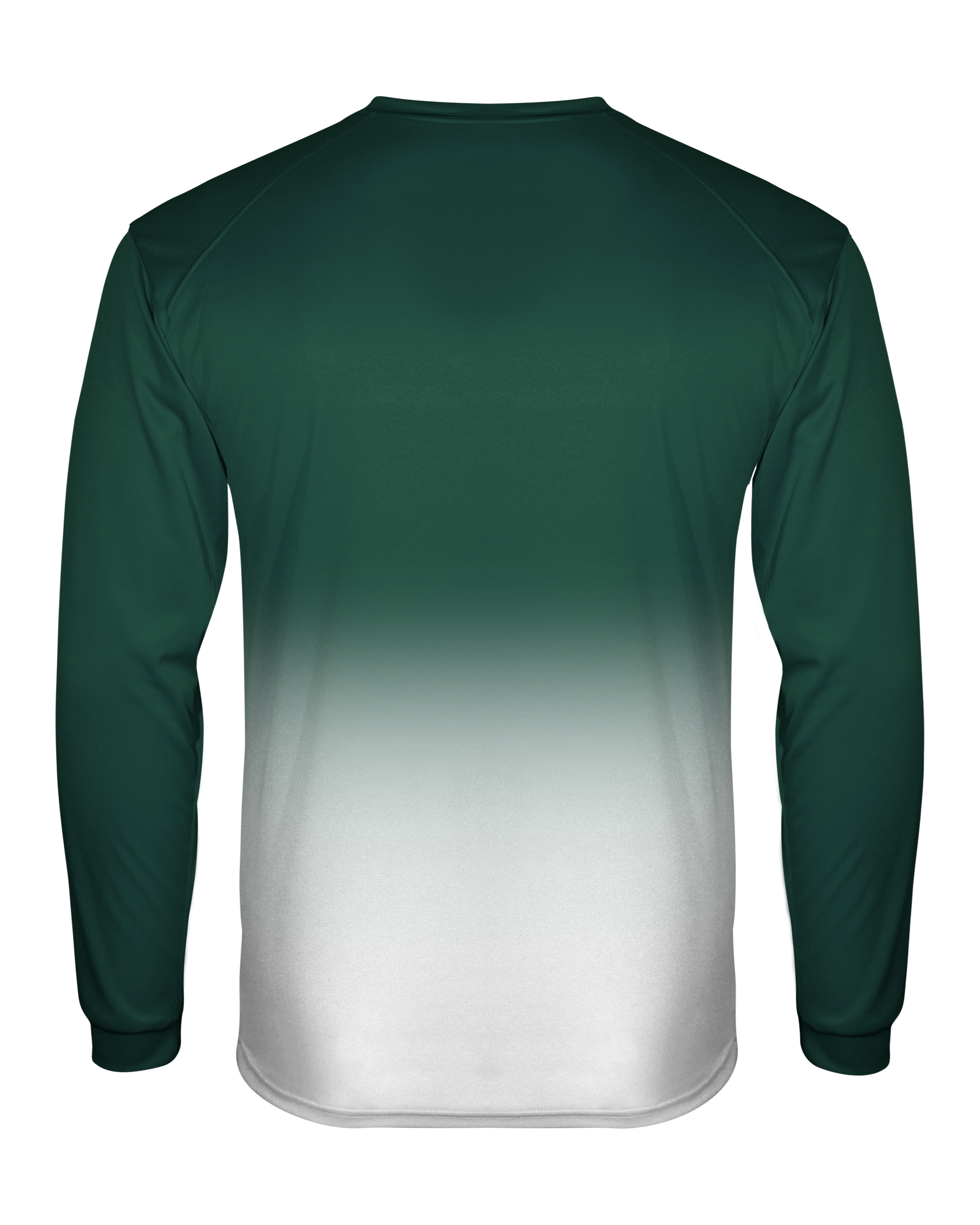 OMBRE LONG SLEEVE TEE back