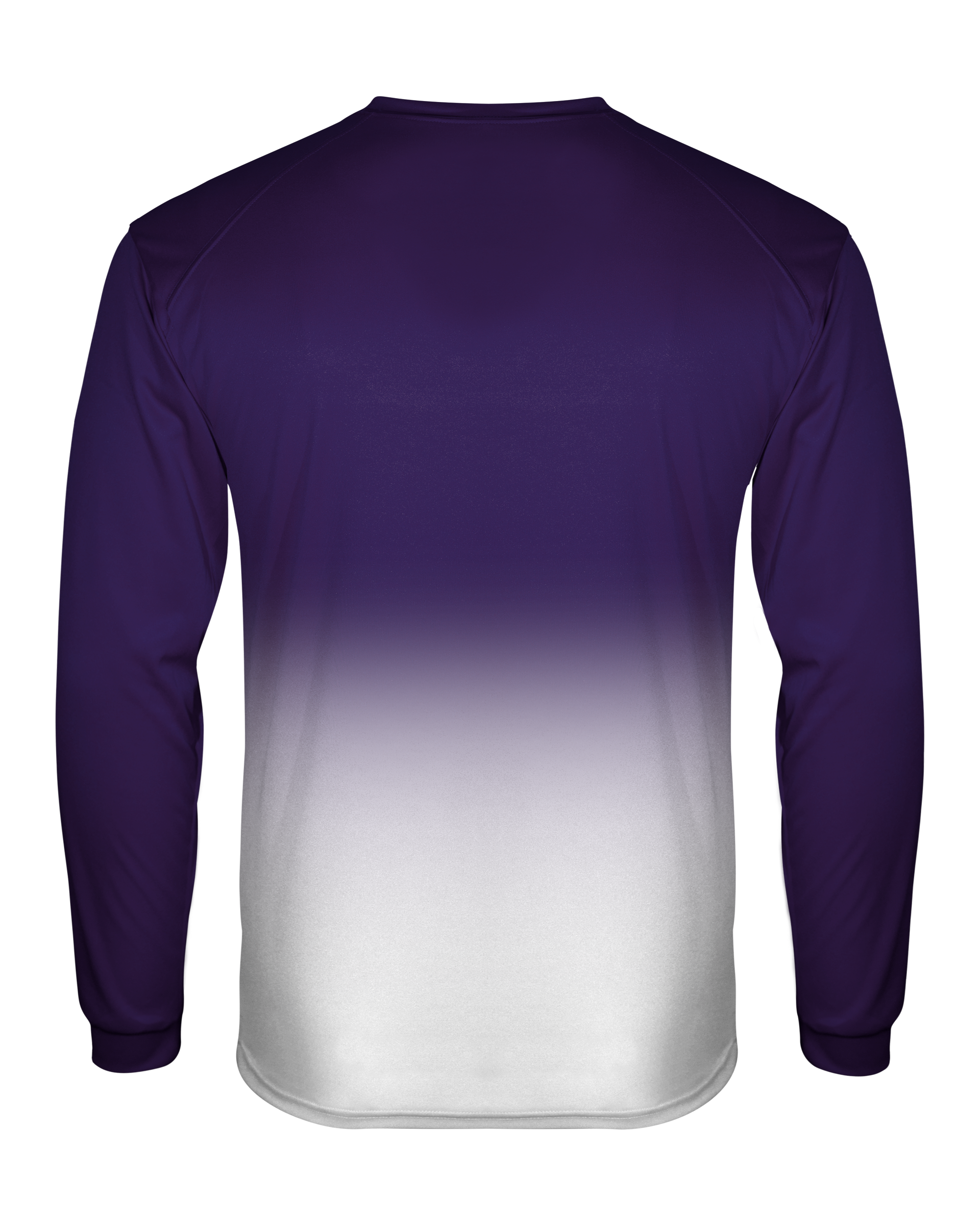 OMBRE LONG SLEEVE TEE back