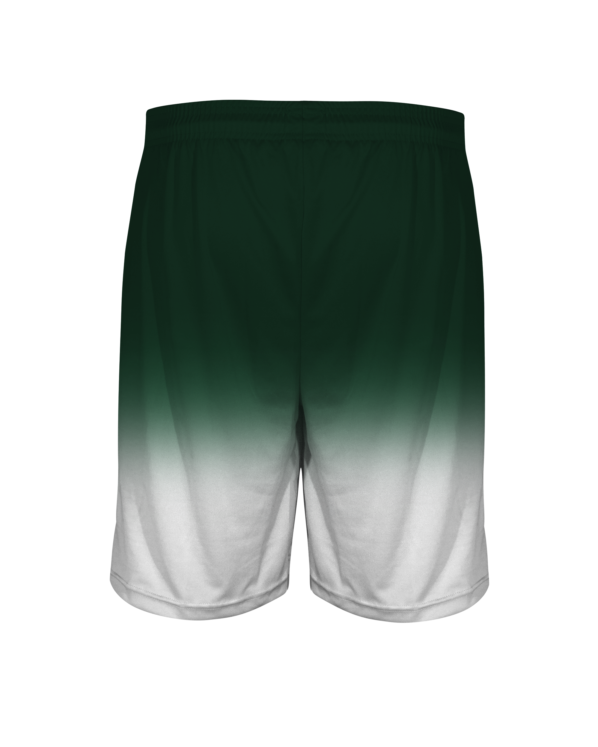 OMBRE SHORTS back