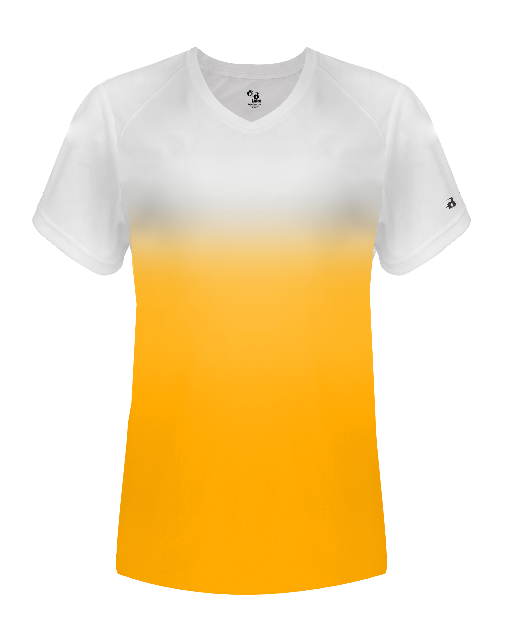 LADIES OMBRE TEE back