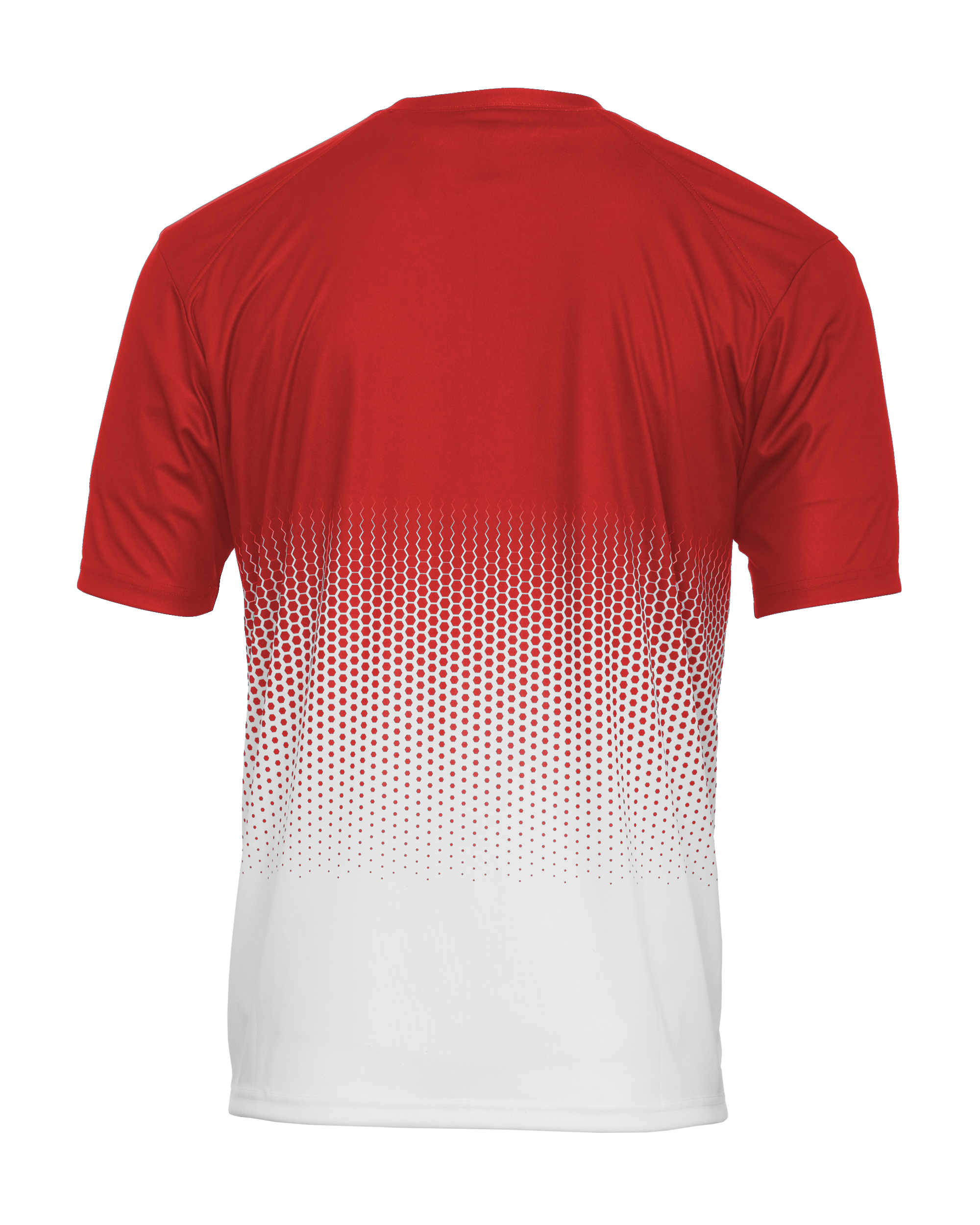HEX 2.0 TEE back