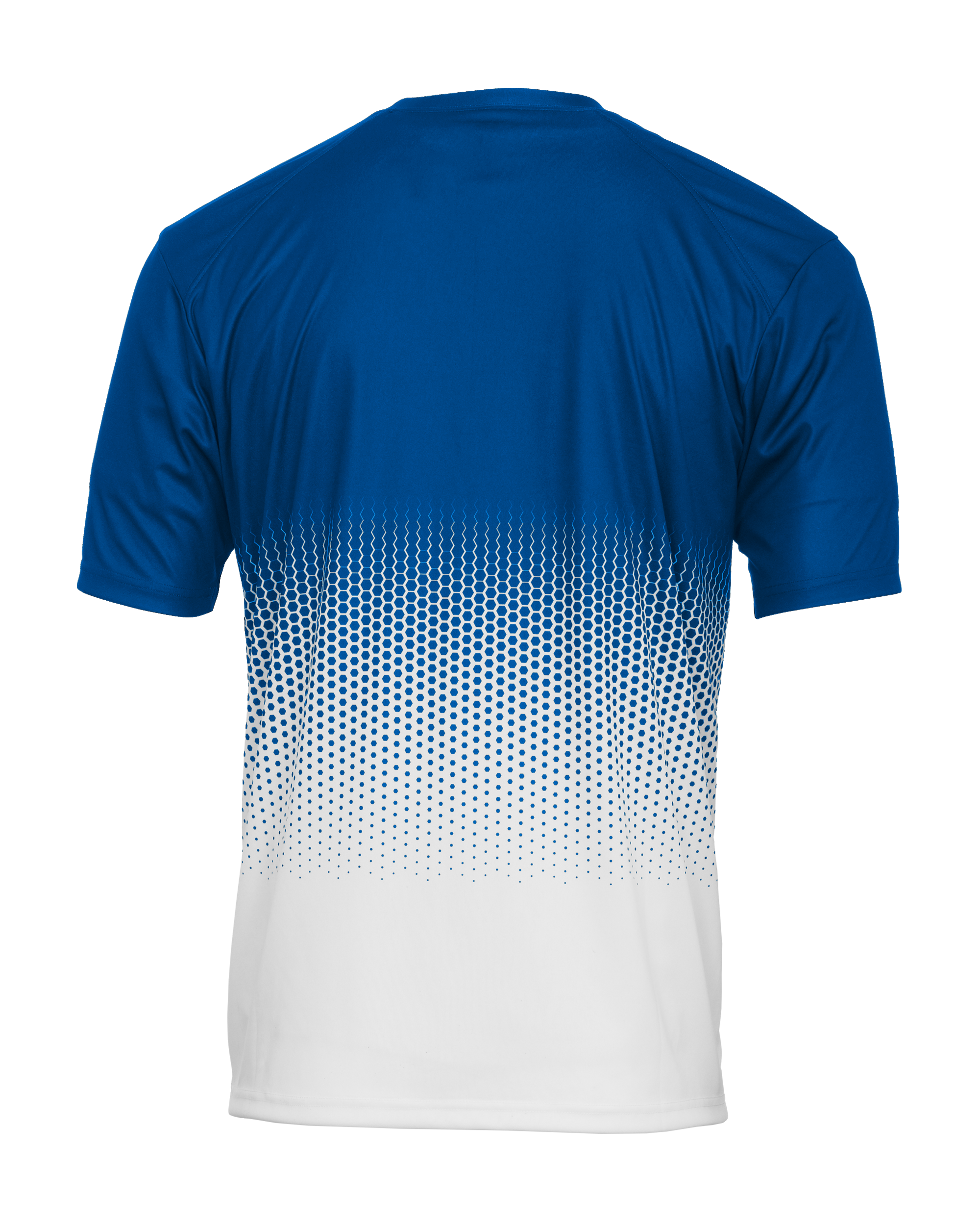 HEX 2.0 TEE back