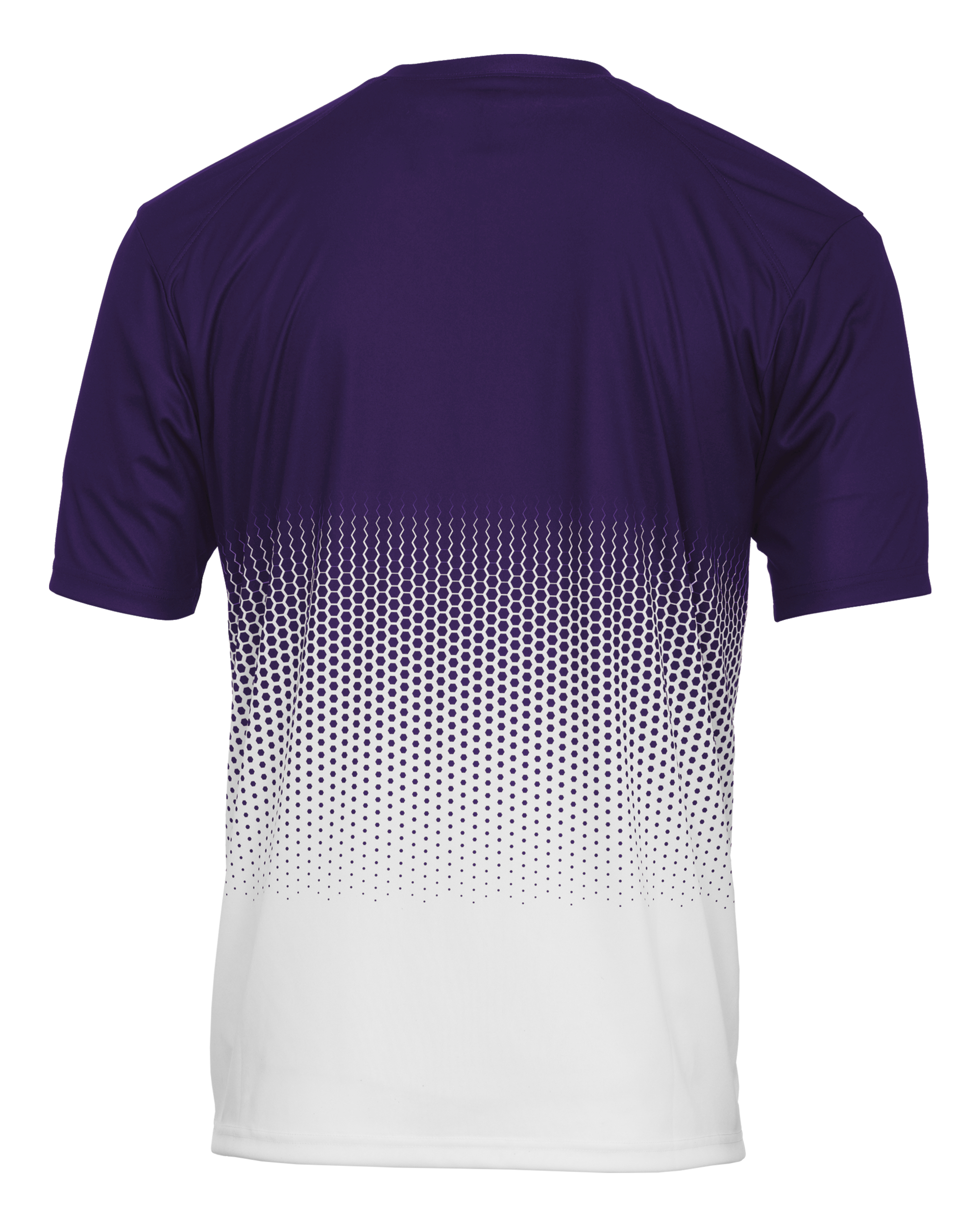 HEX 2.0 TEE back