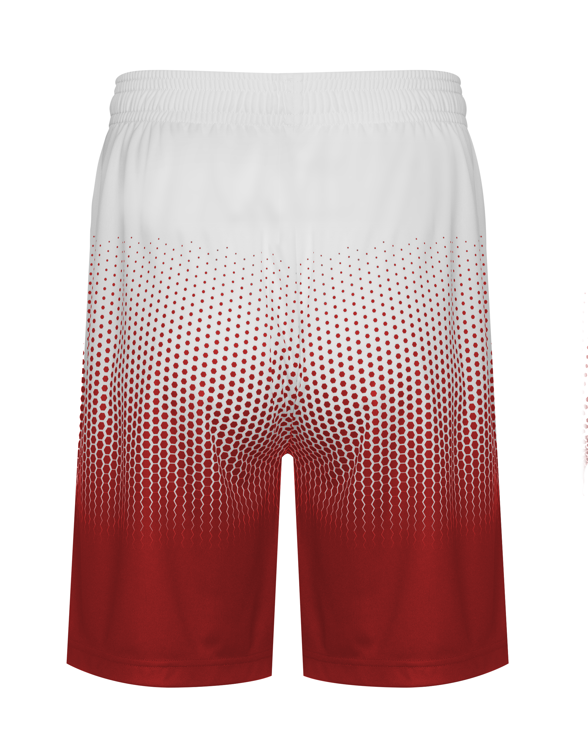 HEX 2.0 SHORT back