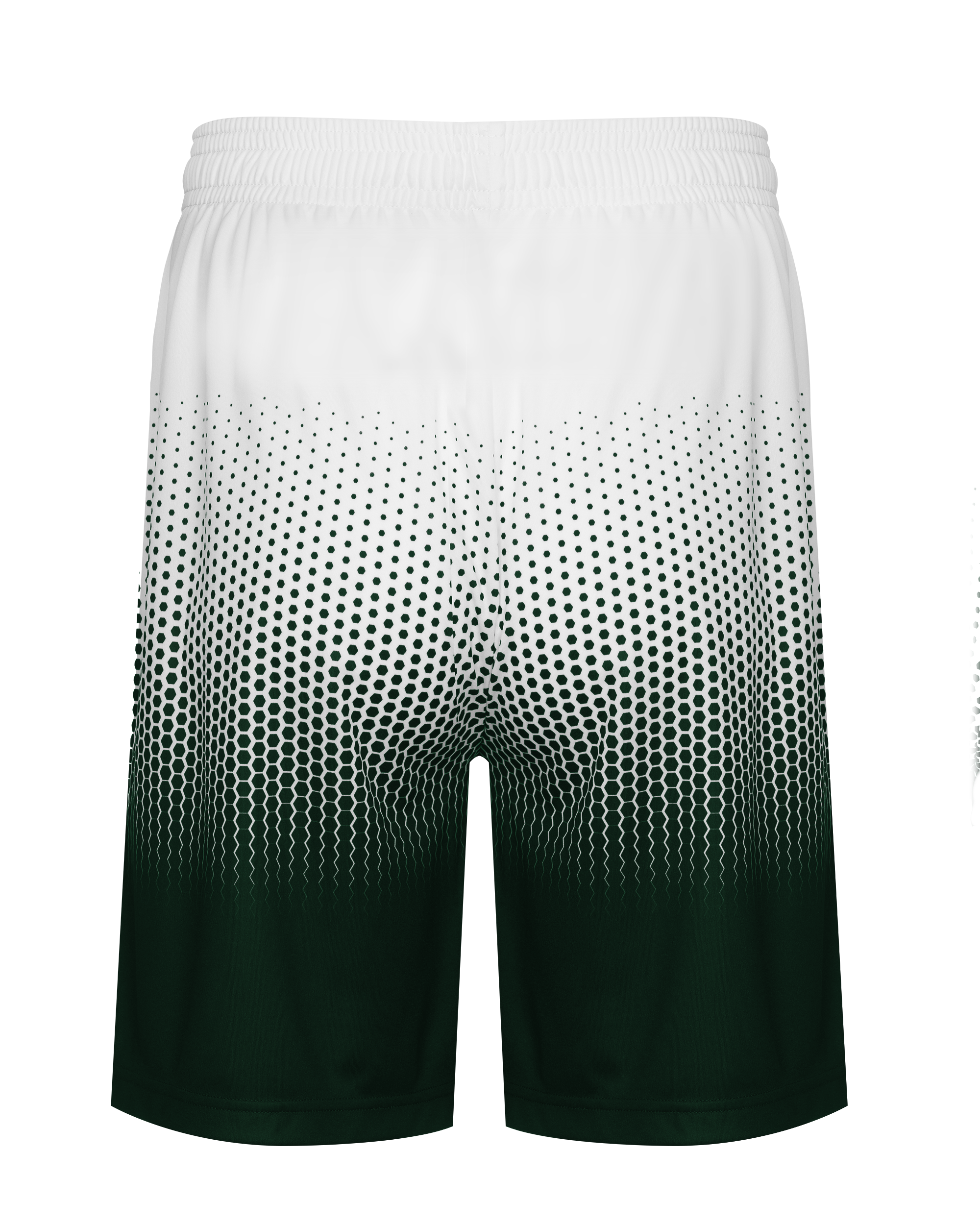 HEX 2.0 SHORT back