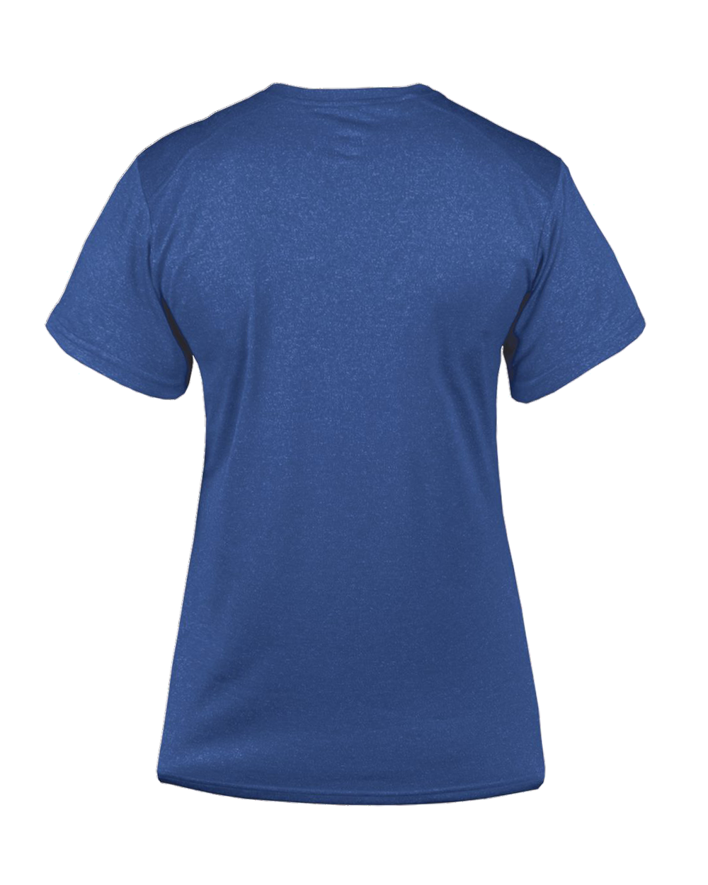 PRO HEATHER LADIES' V-NECK TEE back