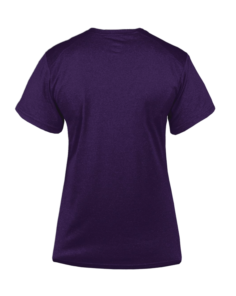 PRO HEATHER LADIES' V-NECK TEE back