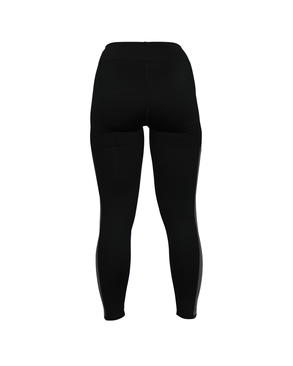 LADIES PANEL TIGHT back