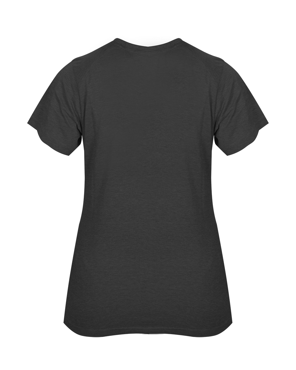 LADIES TRI-BLEND V-NECK TEE back