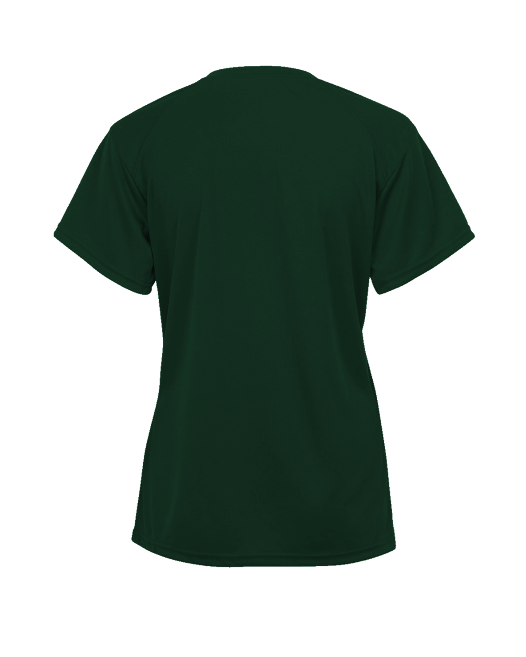 LADIES TRI-BLEND V-NECK TEE back