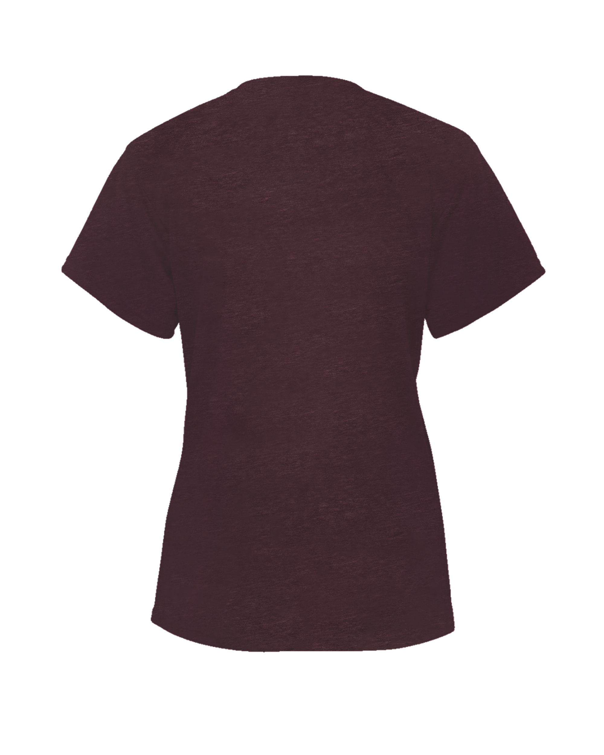 LADIES TRI-BLEND V-NECK TEE back