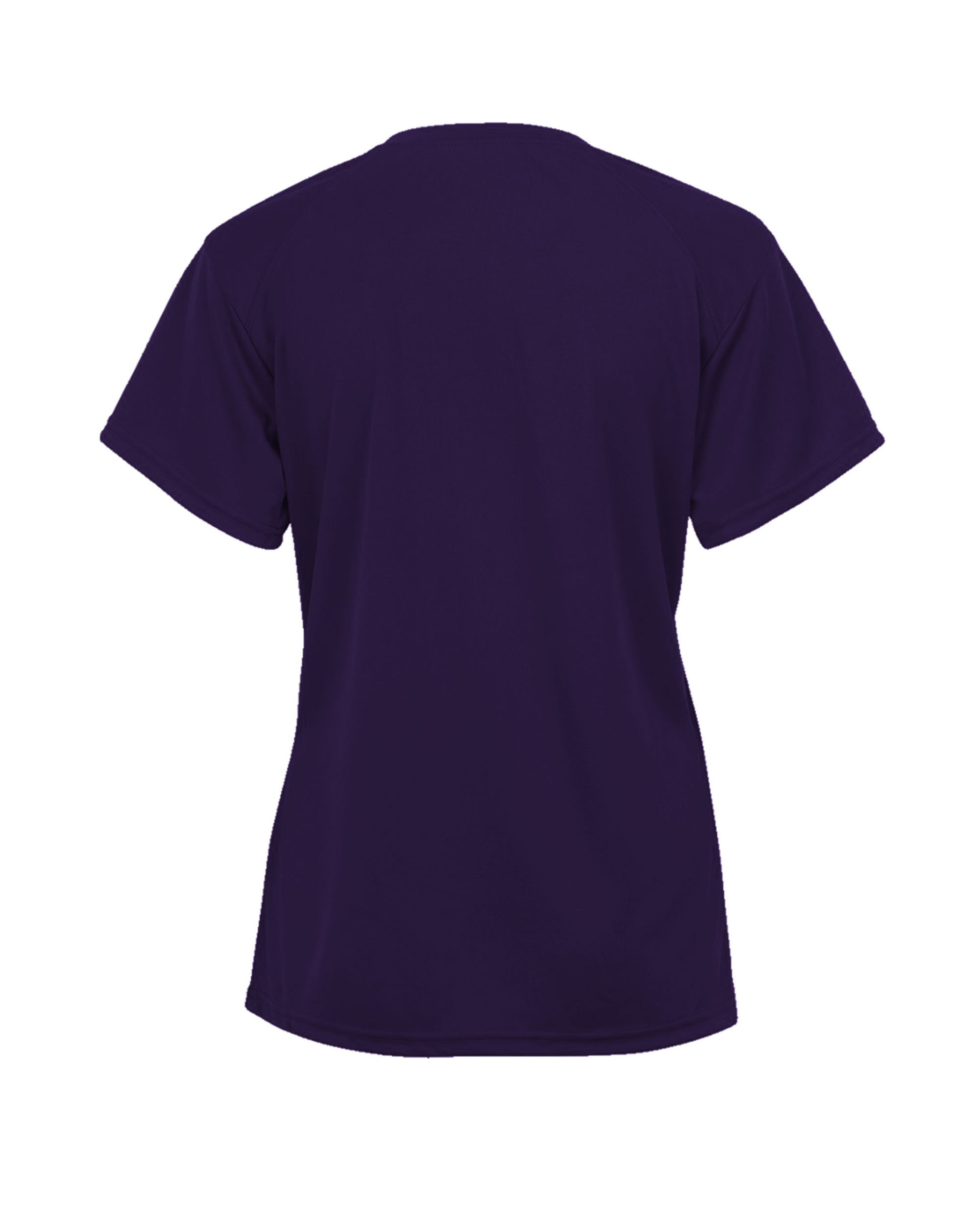 LADIES TRI-BLEND V-NECK TEE back