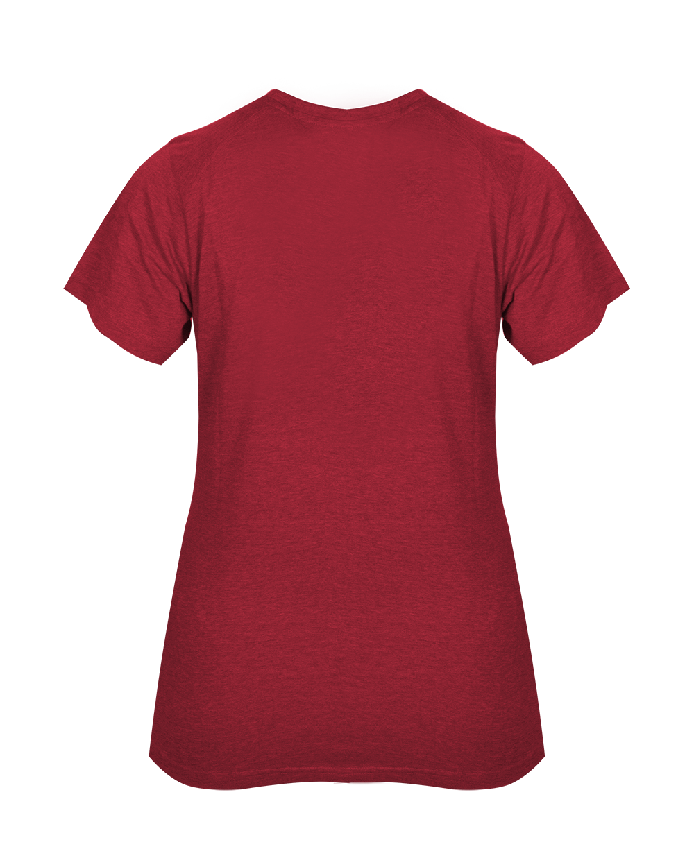 LADIES TRI-BLEND V-NECK TEE back