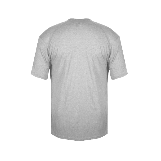 LADIES TRI-BLEND V-NECK TEE back